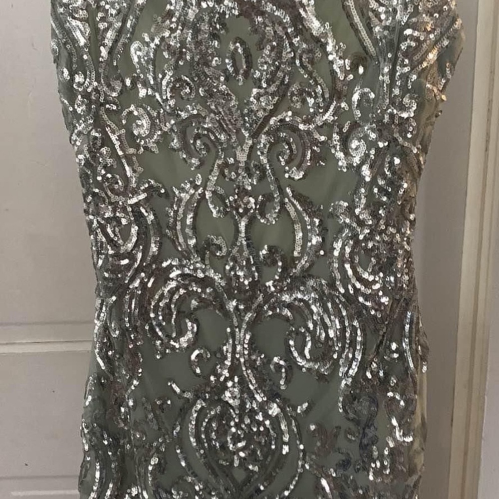 Elegant Silver Sequin Dress